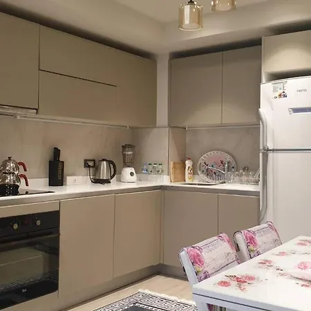 Luxurious 1+1 Residential איסטמבול