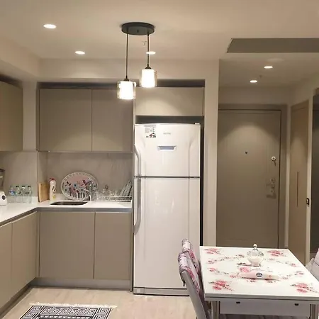 Luxurious 1+1 Residential 公寓 *