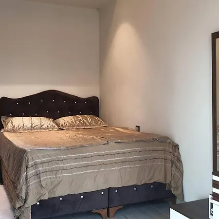 Luxurious 1+1 Residential Apartment *