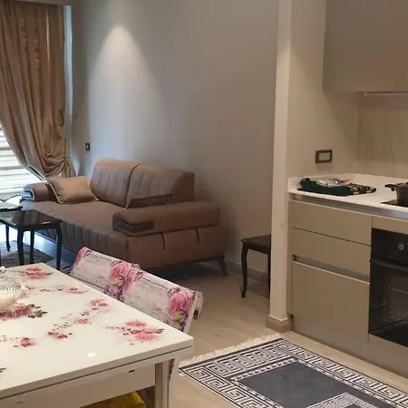 Luxurious 1+1 Residential Apartment Istanbul